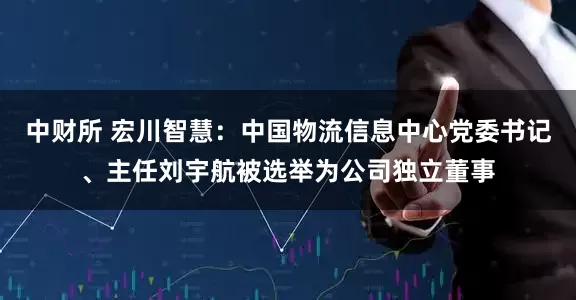 中财所 宏川智慧：中国物流信息中心党委书记、主任刘宇航被选举为公司独立董事