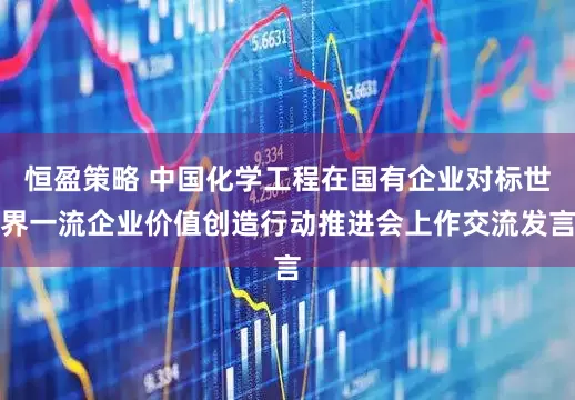 恒盈策略 中国化学工程在国有企业对标世界一流企业价值创造行动推进会上作交流发言