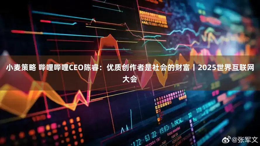 小麦策略 哔哩哔哩CEO陈睿：优质创作者是社会的财富丨2025世界互联网大会